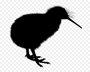 Australian Synchrotron Taranaki Beak Parininihi Ki Waitotara Incorporation Bird -  