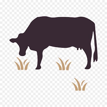 Australian Wagyu Association Cattle Pig Ox - wagyu outline 