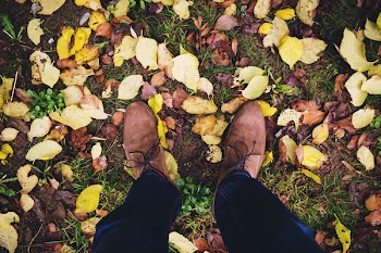Autumn