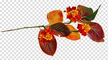 Autumn Acorn , autumn wreaths transparent background PNG clipart