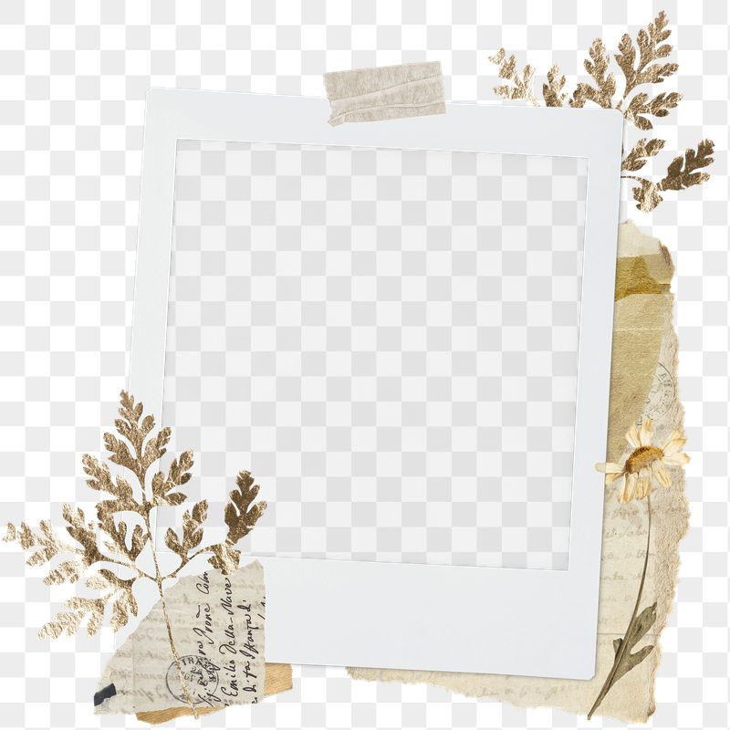 Autumn aesthetic png sticker instant | Free PNG - rawpixel
