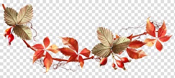 Autumn Auglis , acorn transparent background PNG clipart