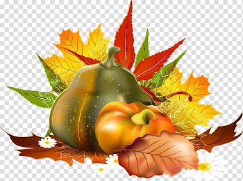 Autumn , autumn border transparent background PNG clipart