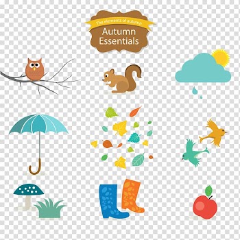 Autumn , Autumn elements transparent background PNG clipart