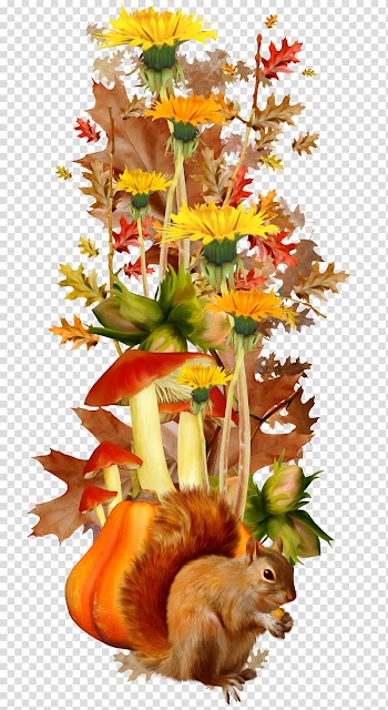 Autumn, Autumn flowers transparent background PNG clipart