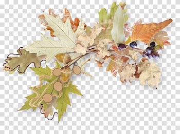 Autumn , Autumn Maple decorative material transparent background PNG clipart