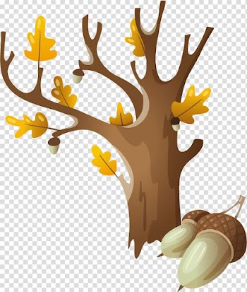 Autumn , autumn transparent background PNG clipart