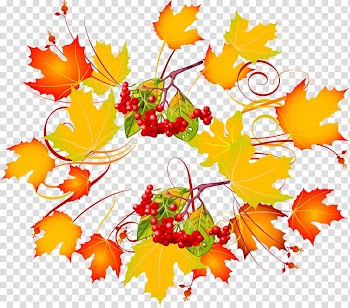 Autumn , autumn transparent background PNG clipart