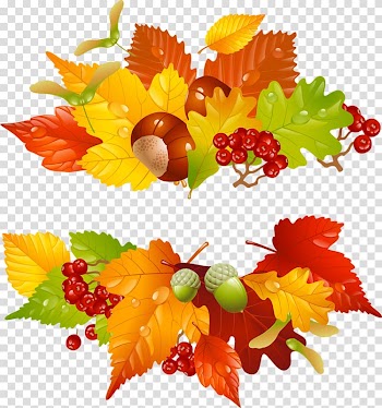 Autumn , autumn transparent background PNG clipart
