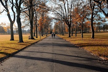 autumn_avenue.jpg