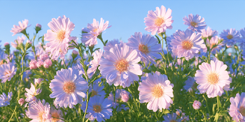 Autumn Bliss: Field of Purple Flowers
