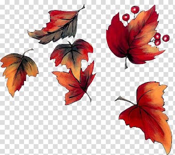 Autumn Blog , autumn transparent background PNG clipart