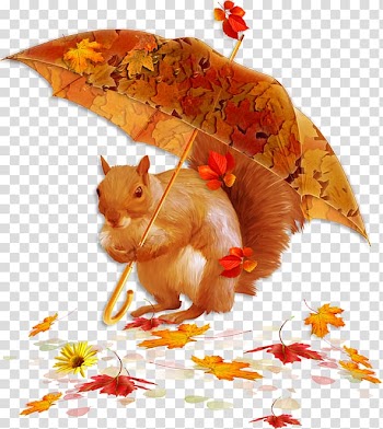 Autumn Blog Rain Social media, autumn transparent background PNG clipart
