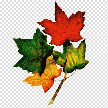 Autumn Blog Wildcat Diary, autumn transparent background PNG clipart