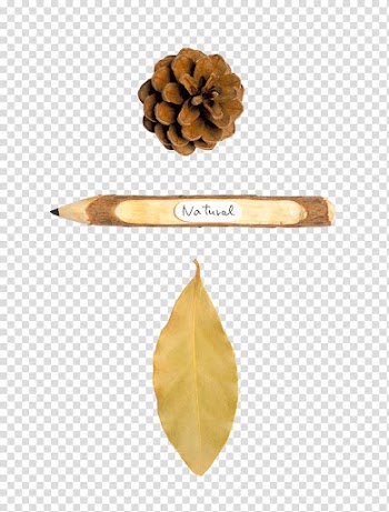 Autumn blot transparent background PNG clipart