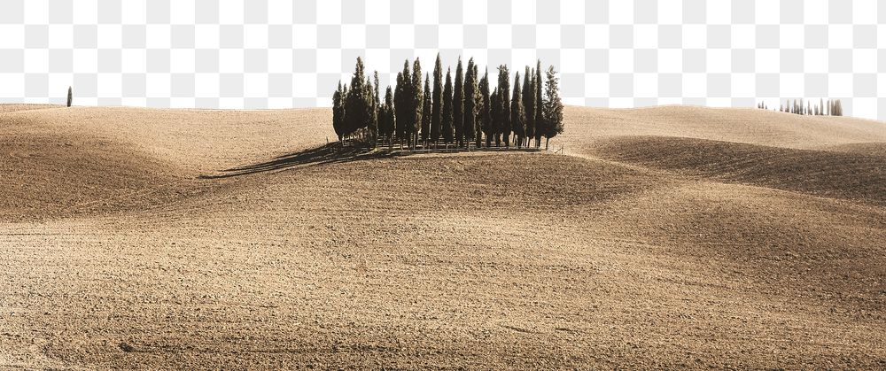 Autumn border png, little forest | Free PNG - rawpixel