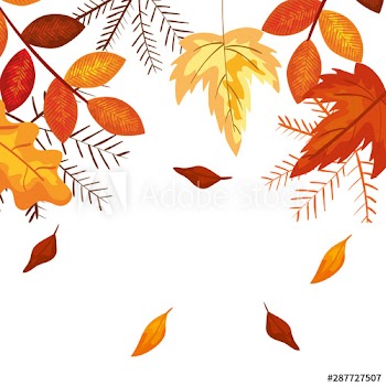 autumn branch and dry maple leafs frame
