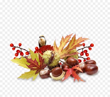 Autumn Centerblog Image Photograph Portable Network Graphics - autumn 