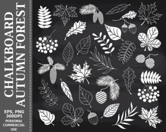 Autumn chalkboard | PNGio
