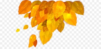 Autumn Clip art Stock photography Vector graphics Yellow - accessori ornament 