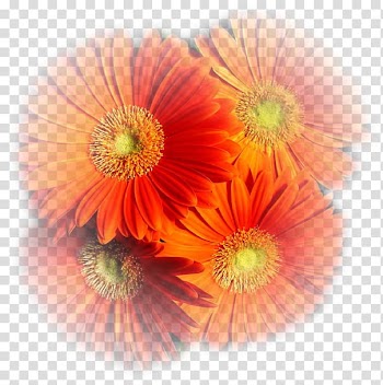 Autumn Coffee Blog Cut flowers, autumn transparent background PNG clipart