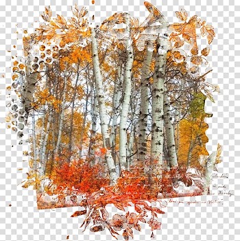 Autumn Collage , autumn transparent background PNG clipart