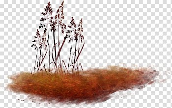 Autumn Collage , Nature art transparent background PNG clipart