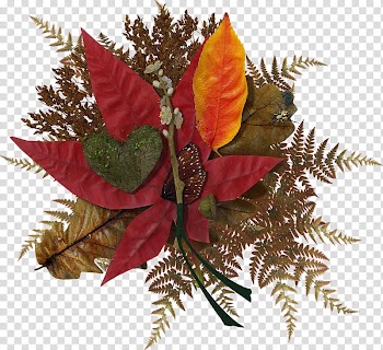 Autumn Collage, red and green leaves illustration transparent background PNG clipart