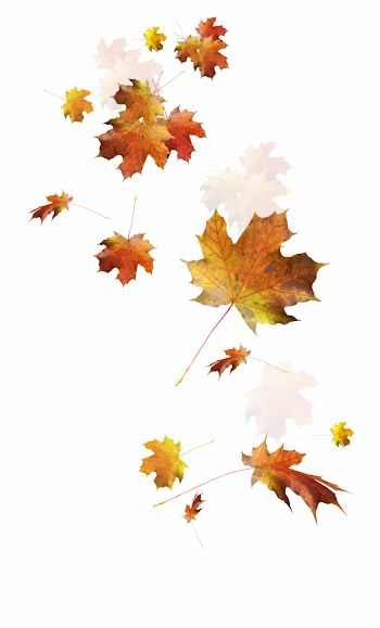 Autumn Color Leaves Leaf Falling Download Hd Png Clipart - Falling ...