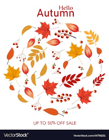 autumn colorful leaves sale background
