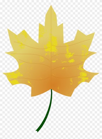 Autumn Colours Fall Leaf Nature Png Image - Autumn