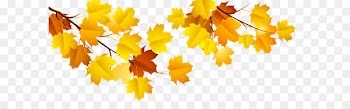 Autumn Computer file - Autumn Branch PNG Clipart 
