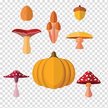 Autumn Computer file, mushrooms and pumpkin transparent background PNG clipart
