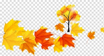 Autumn Deciduous, Autumn leaves transparent background PNG clipart