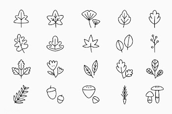 Autumn design elements | Free stock vector - 893084