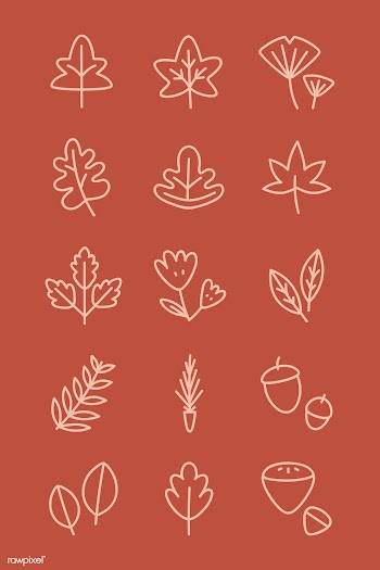 Autumn design elements | Free stock vector - 893114