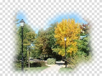 Autumn Desktop Blog, winter scene transparent background PNG clipart