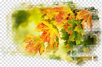 Autumn Desktop Desktop metaphor Wide XGA UXGA, autumn transparent background PNG clipart