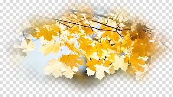 Autumn Desktop Leaf Tree Landscape, autumn transparent background PNG clipart