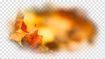 Autumn Desktop Painting Leaf, autumn transparent background PNG clipart