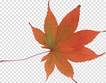 Autumn Diary Blog, autumn transparent background PNG clipart