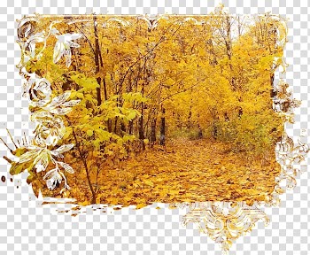 Autumn Digital , autumn transparent background PNG clipart
