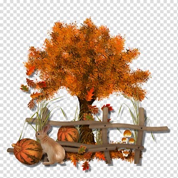 Autumn Drawing , autumn transparent background PNG clipart