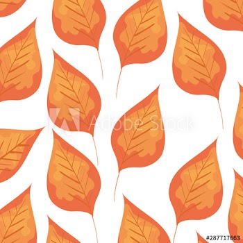 autumn dry leafs nature pattern
