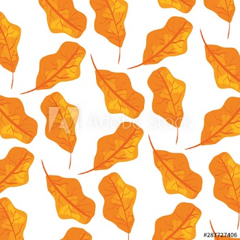 autumn dry leafs nature pattern