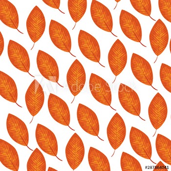 autumn dry leafs nature pattern
