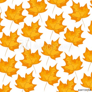 autumn dry maple leafs nature pattern
