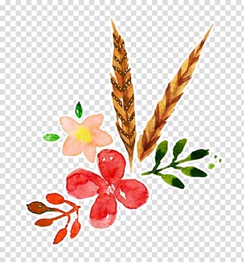 Autumn elements transparent background PNG clipart