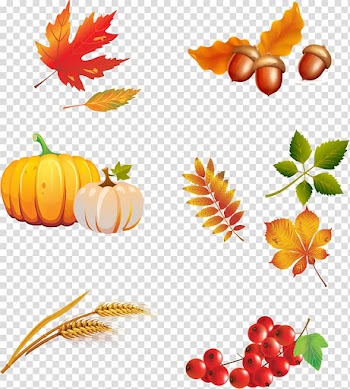 Autumn Encapsulated PostScript , autumn transparent background PNG clipart