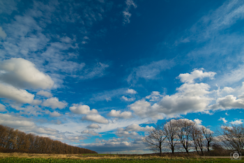 Autumn Field Landscape Background - High-quality Free Backgrounds